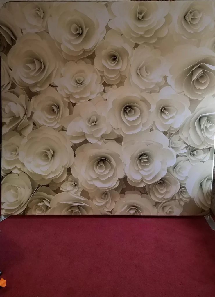 Backdrops 30 30