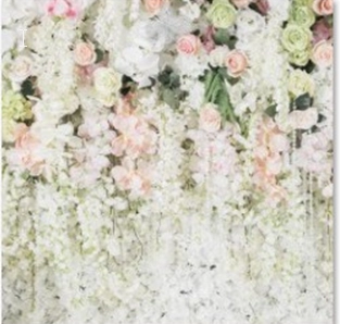 Backdrops 8 8