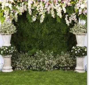 Backdrops 5 5