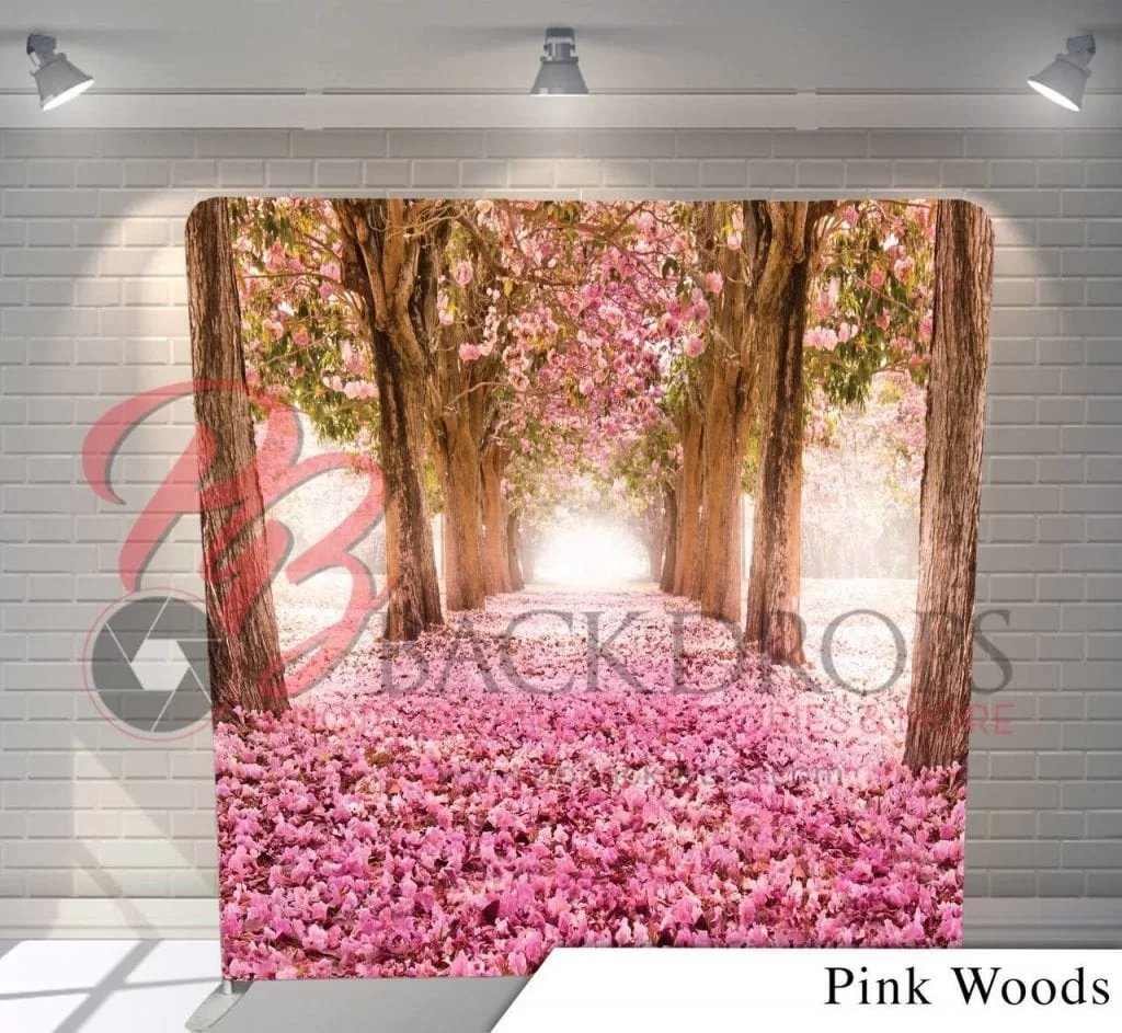 Backdrops 13 13